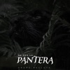 Se Fue La Pantera by Grupo Recluta iTunes Track 2