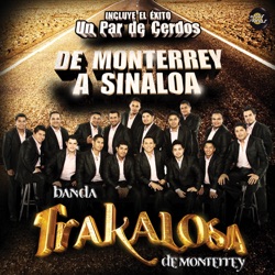 Edwin Luna y La Trakalosa de Monterrey - Borracho de Amor