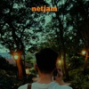 netjam - When Can I See You Again?