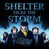 Shelter from the Storm artwork
