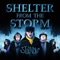 Shelter from the Storm artwork