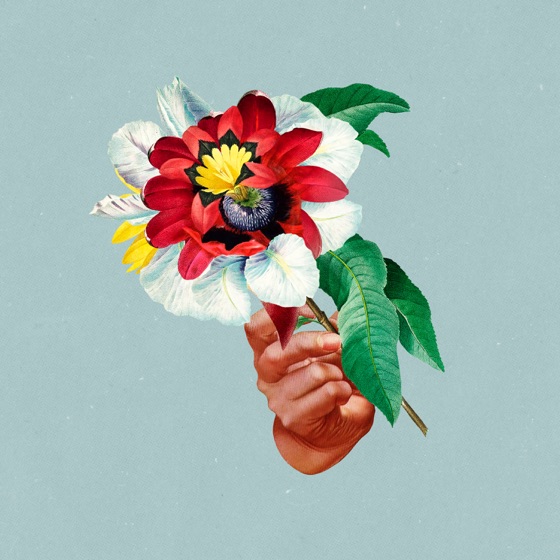 Cover artwork for Beginner's Luck