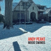 Andy Peake - Make Peace with the Blues