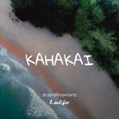 Kahakai artwork
