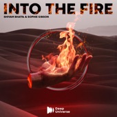 Into the Fire artwork