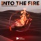 Into the Fire artwork