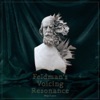 Feldman's Voicing Resonance - Single