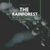 Stream & download Sounds of the Rain Forest - Single