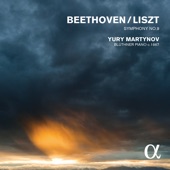 Beethoven: Symphony No. 9 (Arr. for Piano) artwork