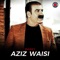 Mardan - Aziz Waisi lyrics