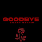 Goodbye artwork