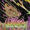 Celestial Mycelium - Single