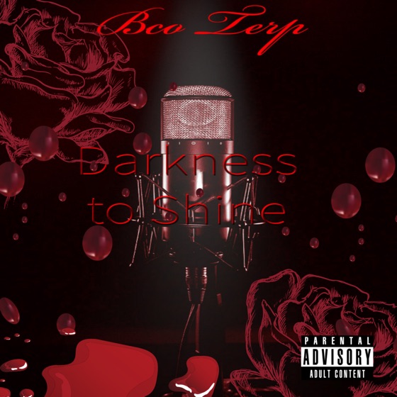 Cover artwork for Cameras