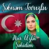 Nur Üzlü Şəhidim artwork