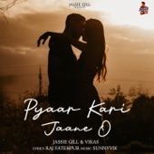 Pyaar Kari Jaane O (feat. Vikas) artwork