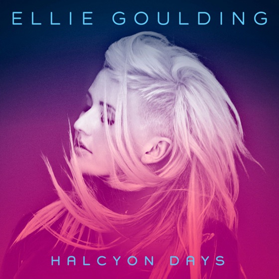 Cover artwork for Joy