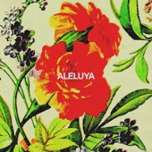 Aleluya (feat. Laila Olivera & Aaron Moses) artwork