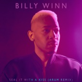 Seal It with a Kiss (Arum Remix) artwork