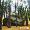 Arising - Single