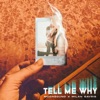 Tell Me Why - Single, 2021