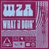 WZA - What U Doin'