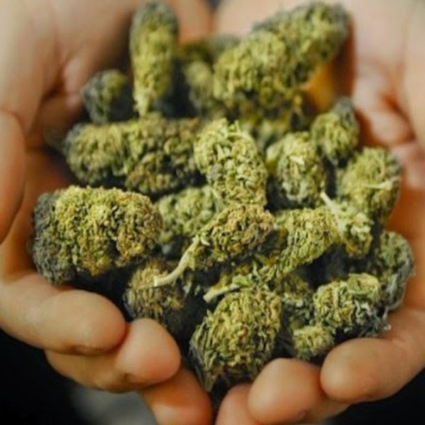 Potcasts* cannabis investing news Potcasts* cannabis investing news