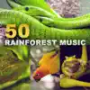 50 Rainforest Music: Tropical Sounds of Nature, Peace of Mind, Deep Meditation, Better Sleep, Zen Relaxation (Exotic Birds, Frogs, Rain, Crickets, River, Wind) album lyrics, reviews, download
