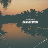 Seeds artwork