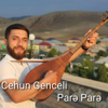 Cehun Genceli - Pare Pare artwork