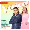 When You Say Nothing At All (The Voice Performance) - Single album lyrics, reviews, download