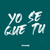 Yo Se Que Tu artwork