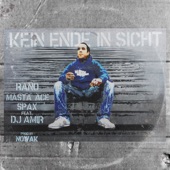 Kein Ende in Sicht (feat. DJ Amir) artwork