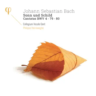 Bach: Sonn und Schild, Cantatas BWV 4, 79 & 80 by Collegium Vocale Gent & Philippe Herreweghe album reviews, ratings, credits