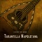 Tarantella Napoletana (Mandolin Version) artwork