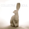 Collective Soul (Bonus Track Version), 2009