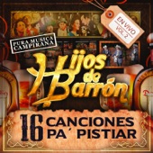 16 Canciones Pa' Pistiar, En Vivo Vol. 2 artwork