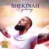 Shekinah Glory