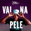 Stream & download Vai Na Pele - Single