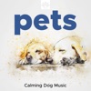 Pets - Calming Dog Music, Soothing Sounds, Nature Sounds