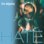 The Delgados - Coming in from the Cold