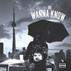 Wanna Know - Single
