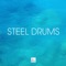 Poolside Party Music - Steel Drums Music Crew lyrics