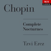 Nocturne No. 20 in C-Sharp Minor, Op. Posth. Kk Iva/16 artwork