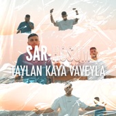 SAR-HOŞUM (feat. Vave) artwork