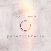 Not In Words artwork