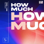How Much (feat. SIM) artwork