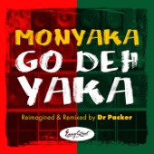Go Deh Yaka (Dr. Packer Radio Edit) artwork