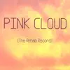 Pink Cloud (The Rehab Record) album lyrics, reviews, download
