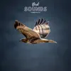 Bird Sounds To Meditate To - EP album lyrics, reviews, download