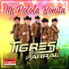 Mi Polola Bonita - Single